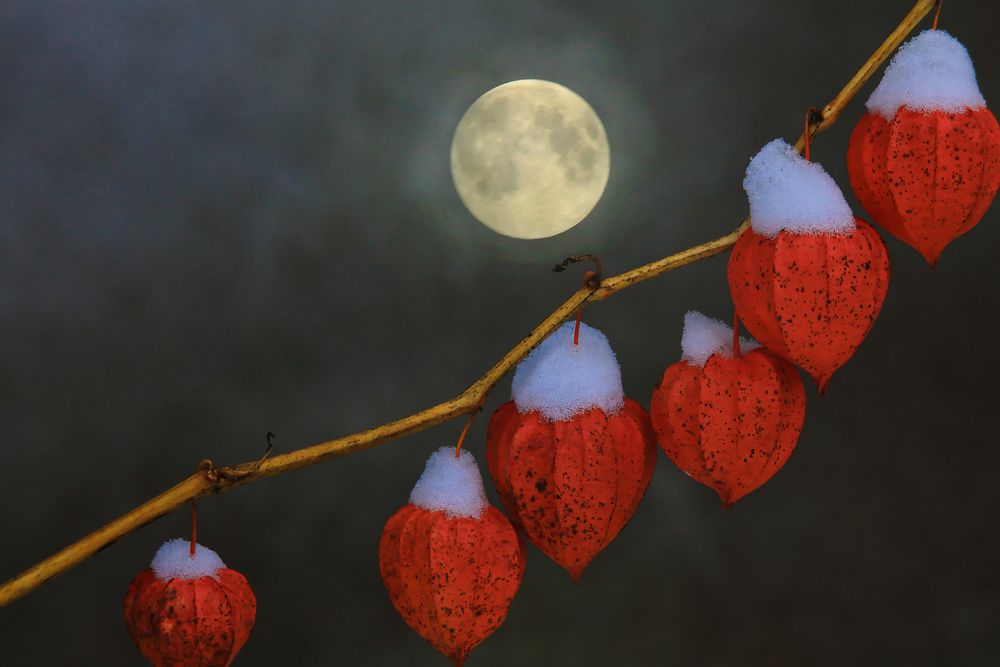 Photograph by Николай Протасеня