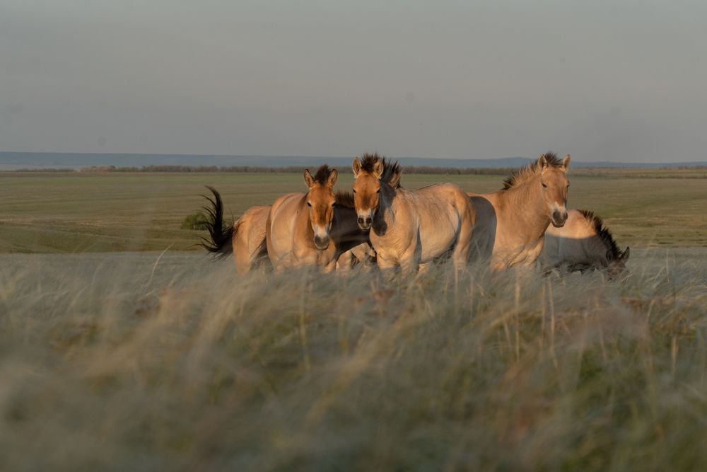 Photograph by Евгения Ковригина