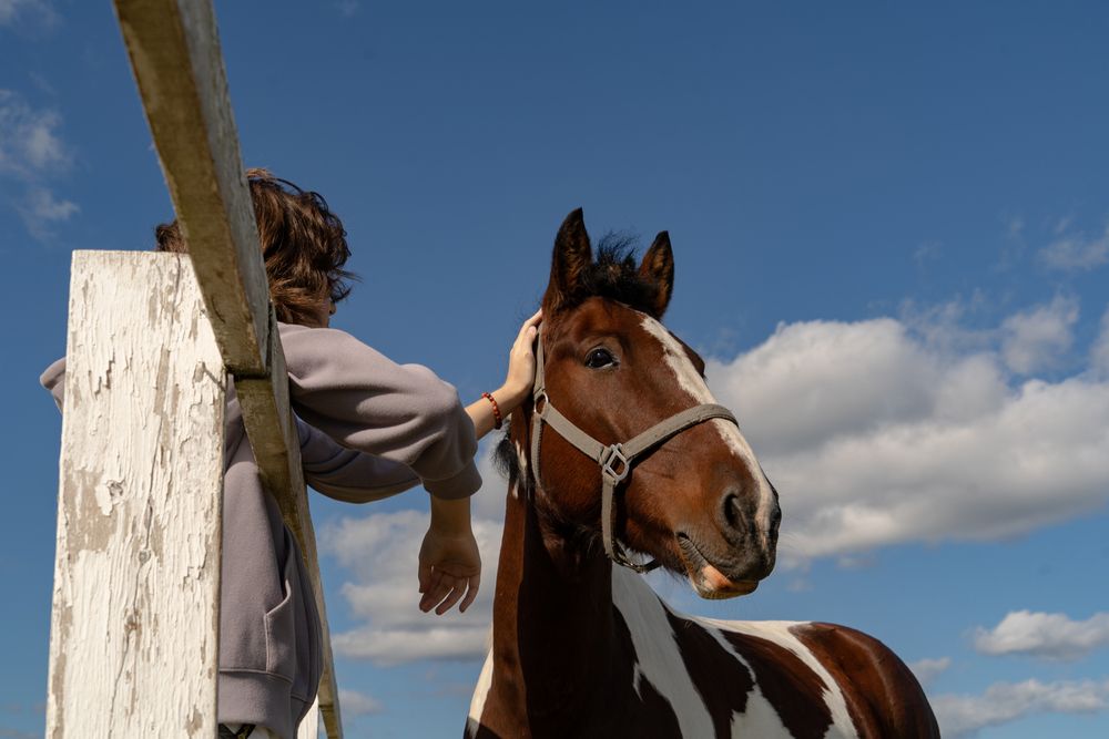 Photograph by Евгения Ковригина