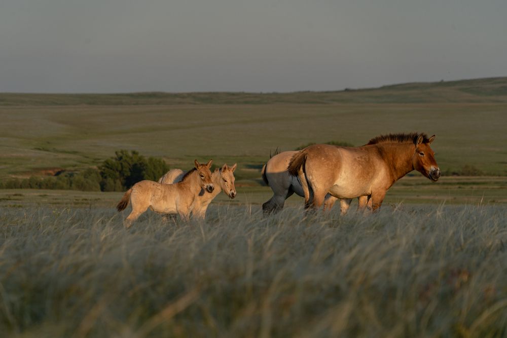 Photograph by Евгения Ковригина
