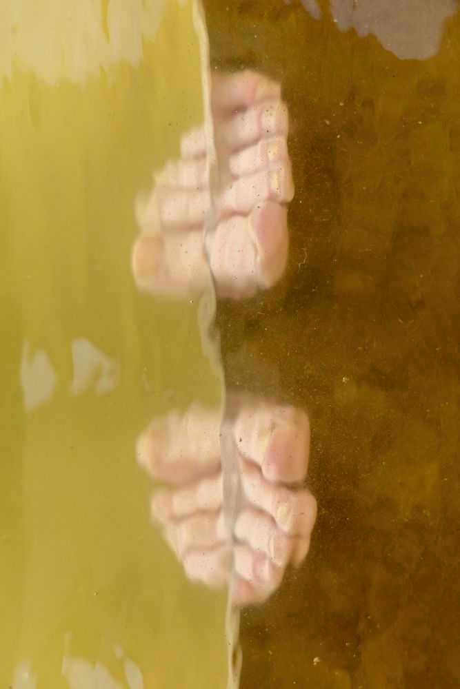 Пальцы Ундины