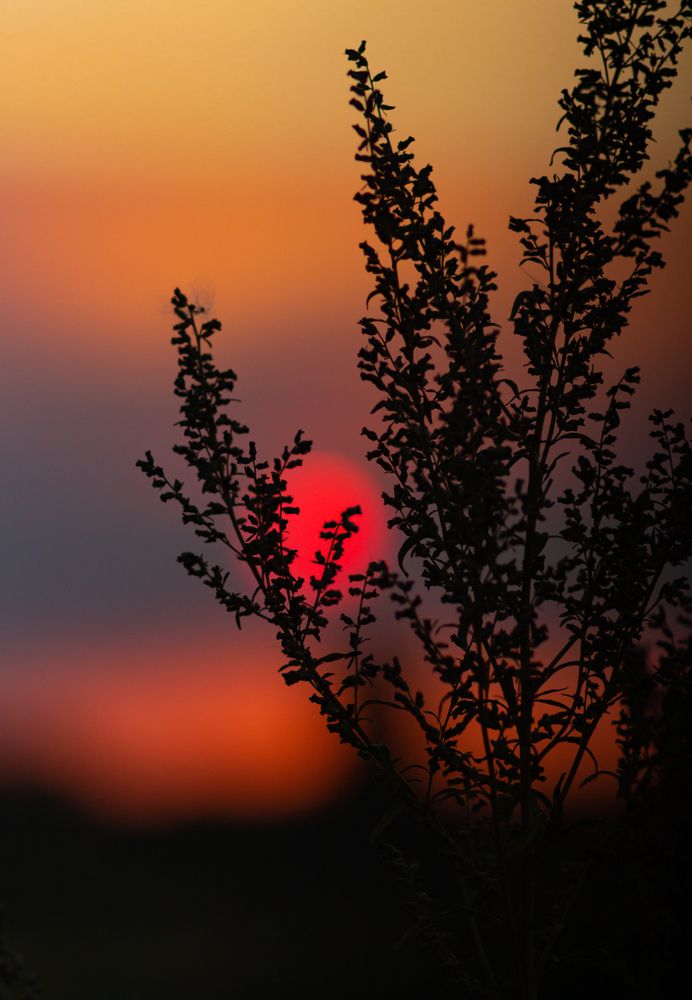 Photograph by Артём Овчинников