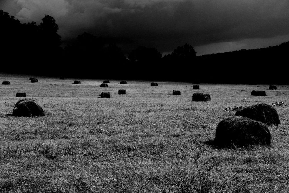 Photograph by Хайбуллина Флора