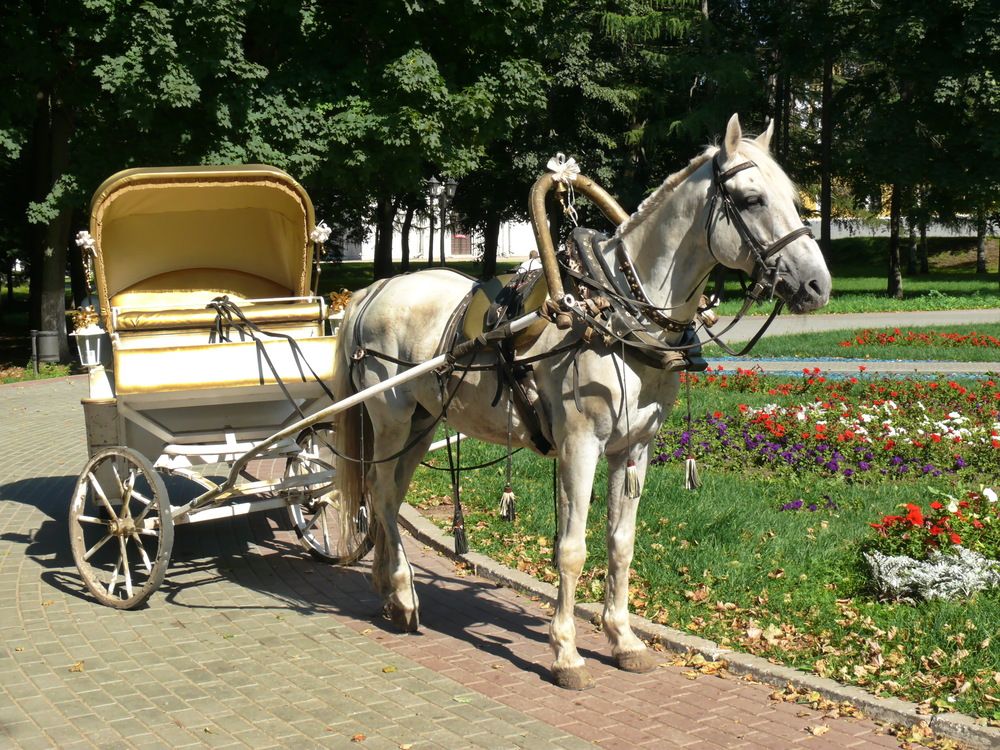 Фотография автора Анатолий Борисов