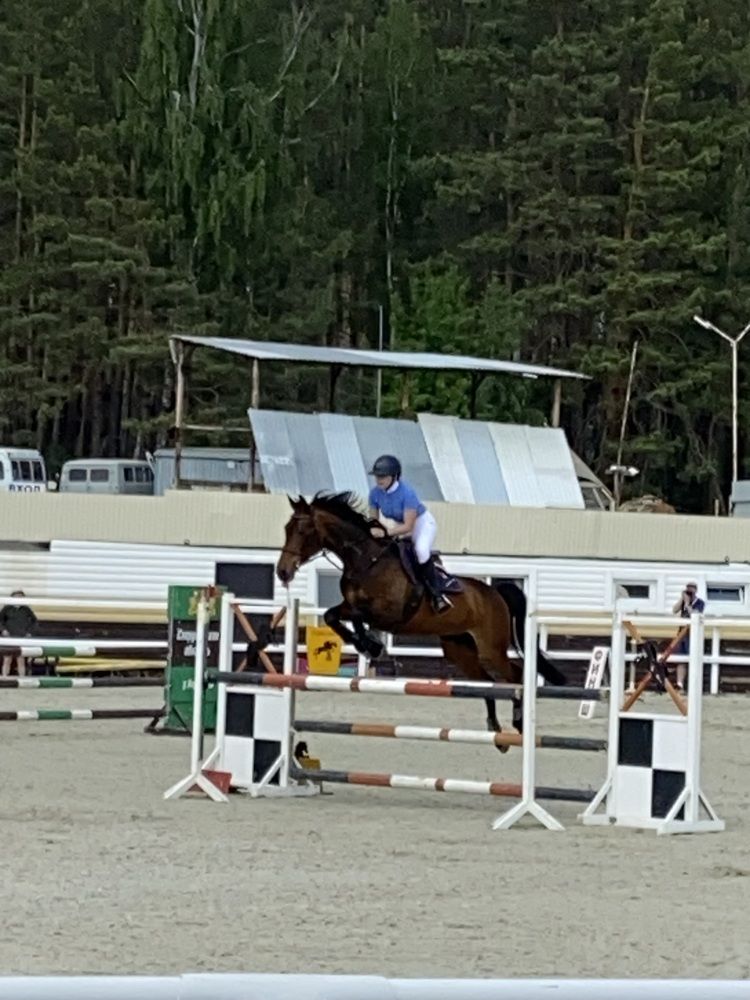 Фотография автора Вера Артеменко