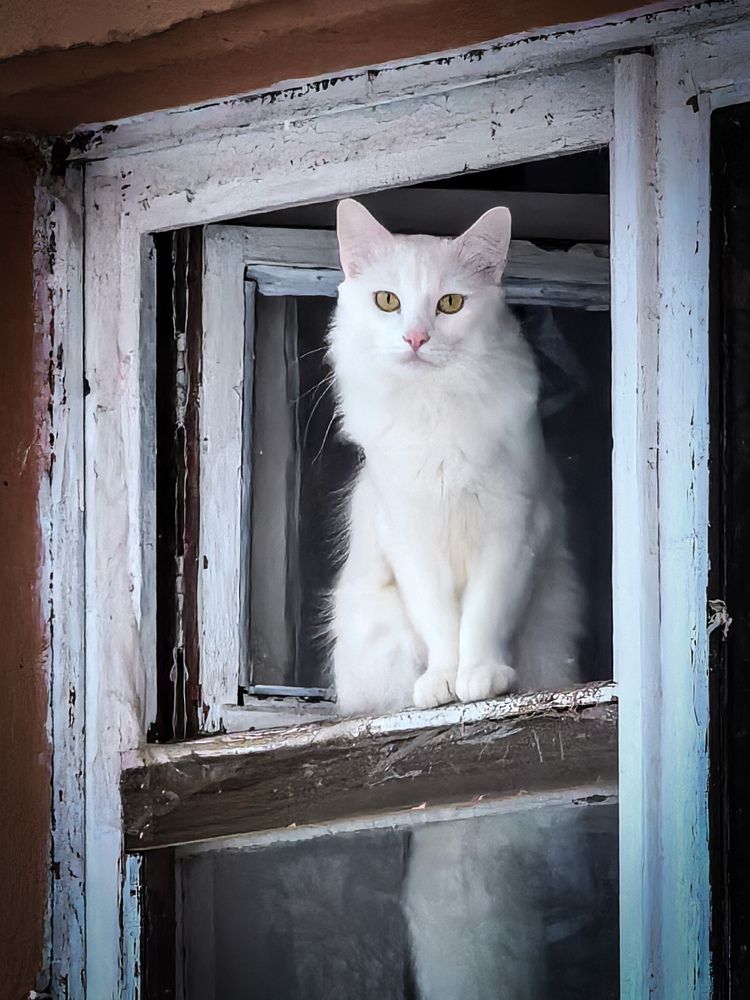 Photograph by Инна Невар