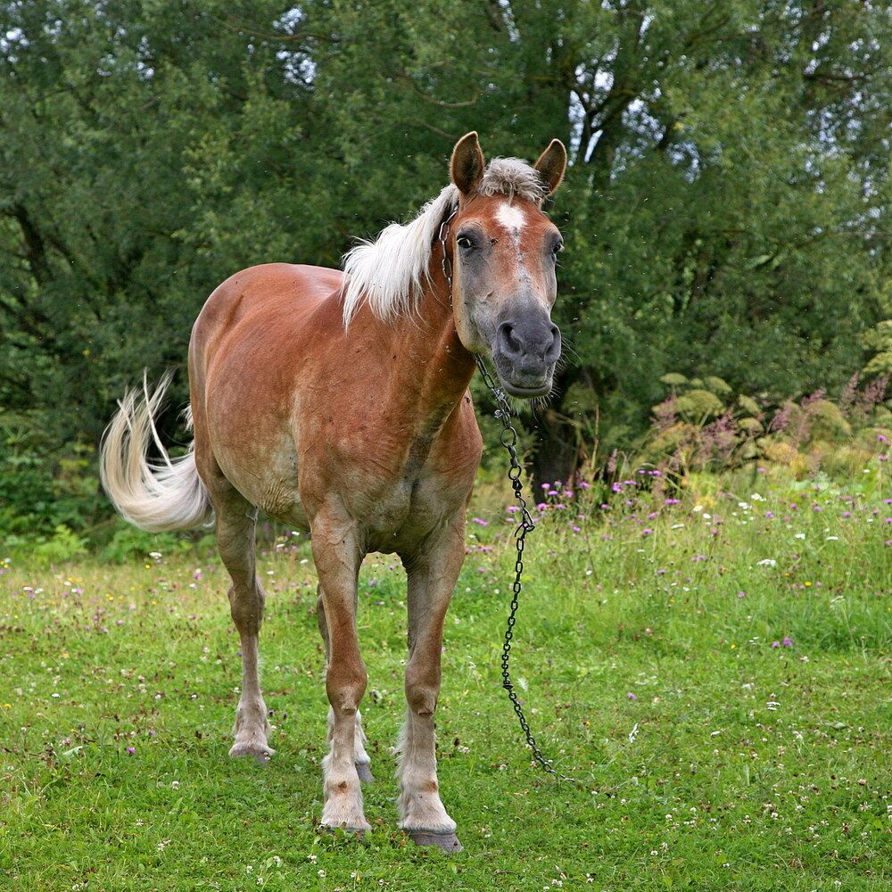 Фотография автора Александр Кожевников