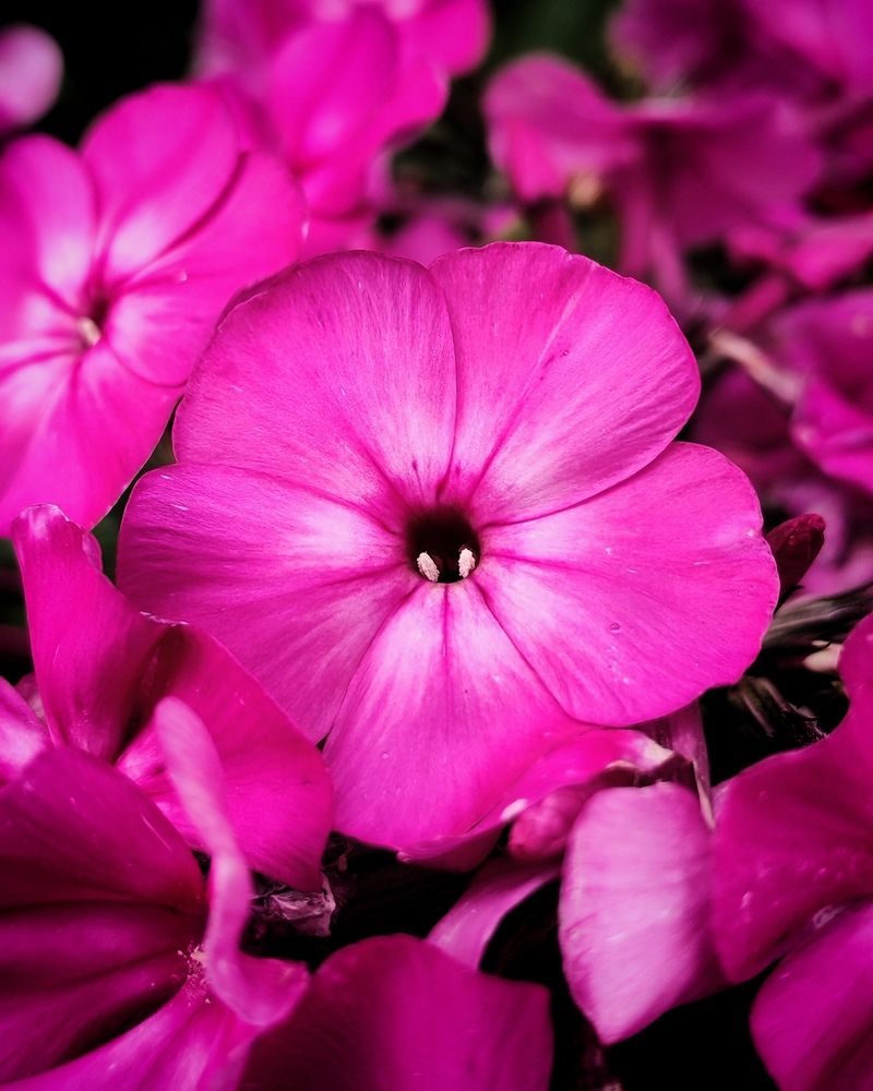Photograph by Альбина Майкова