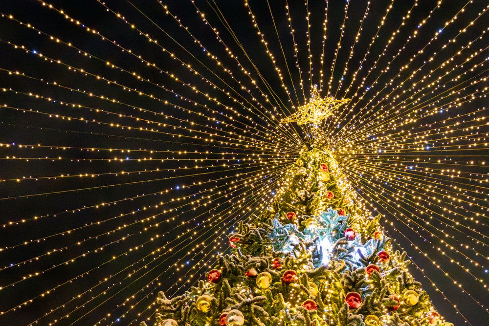 Photograph by Дарья Гусева