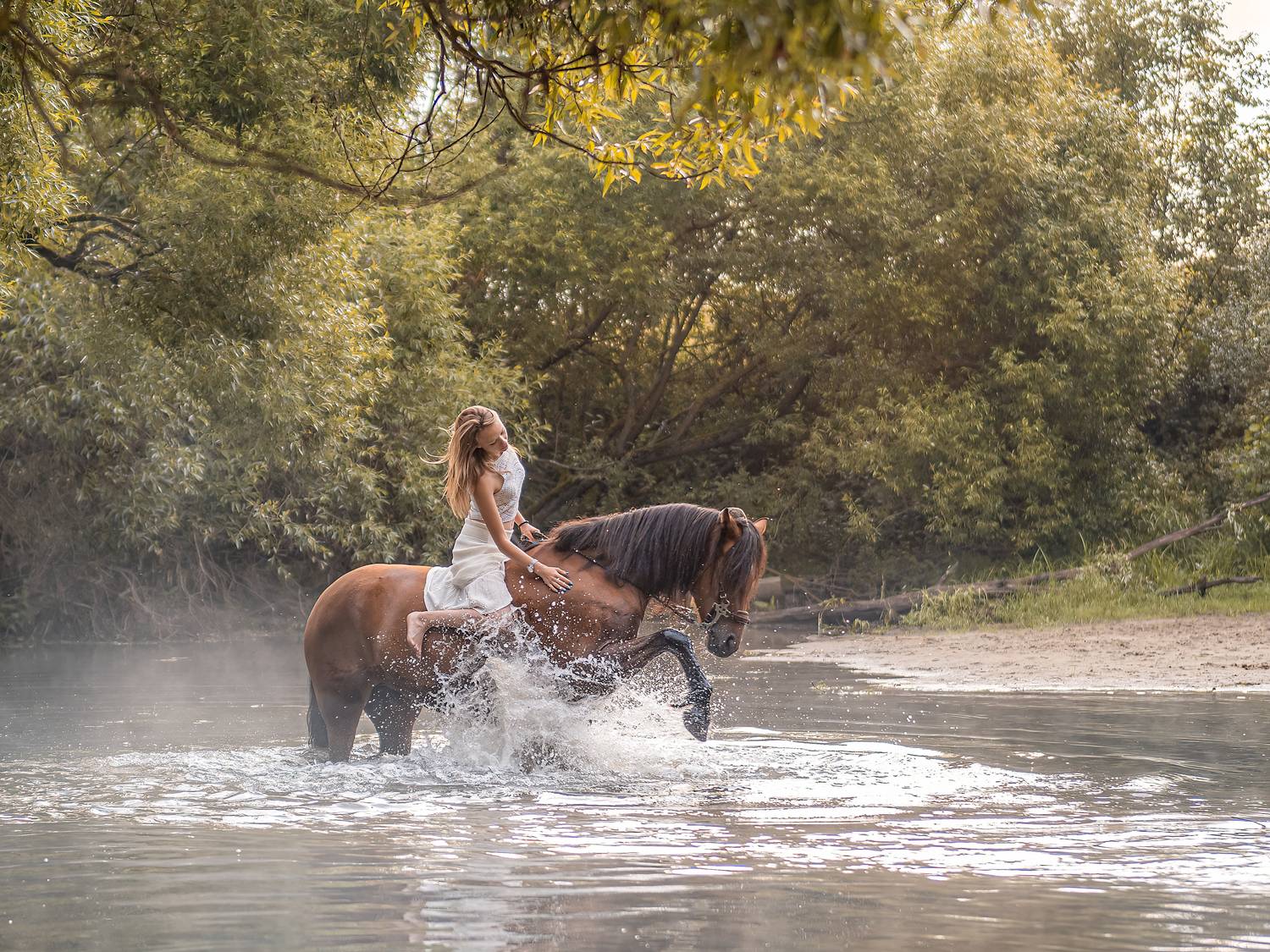 Фотография #13038028
