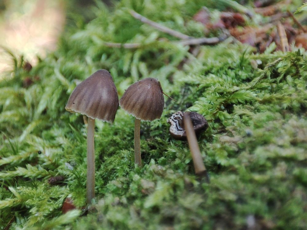 Ничего личного, друг....