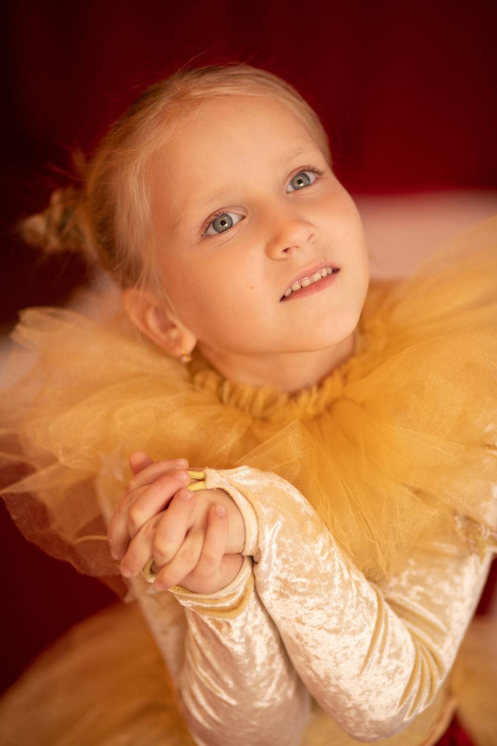 Photo #13038036