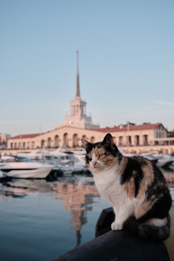 Photograph by Игорь Сержант