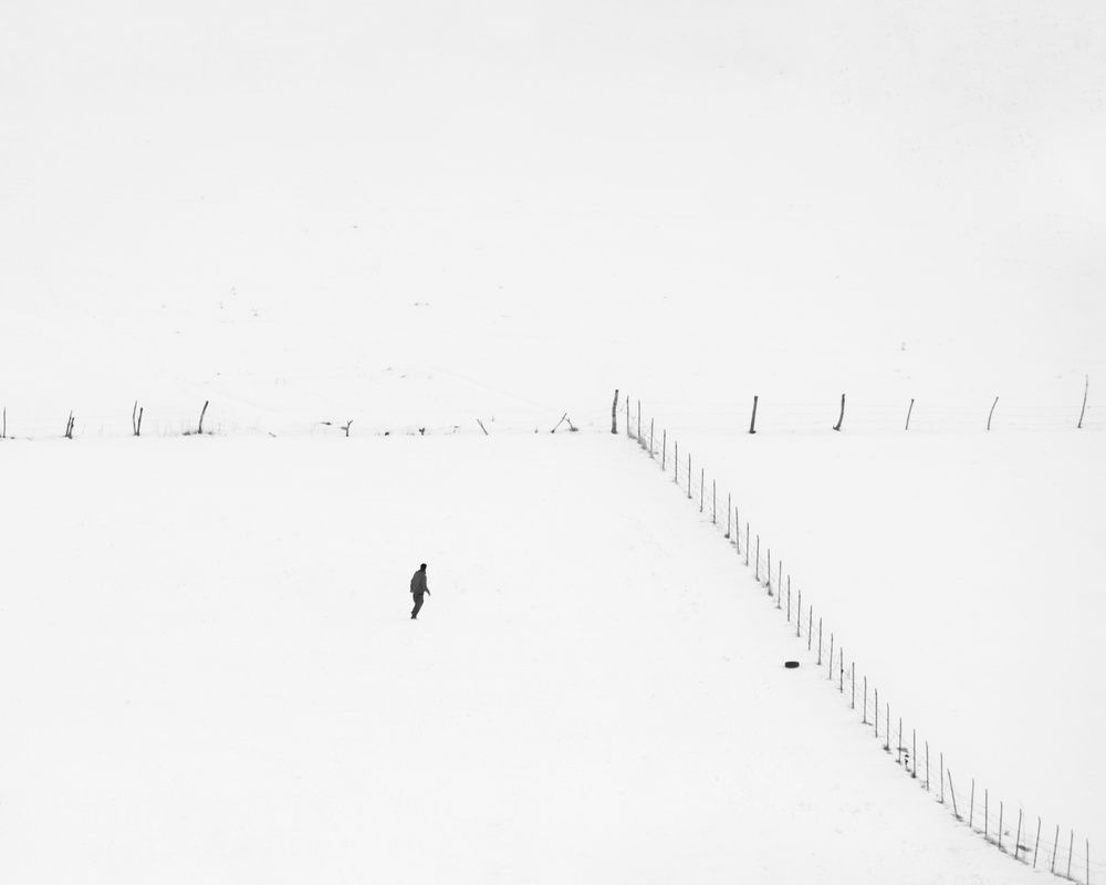 Фотография автора mohammad Alipour