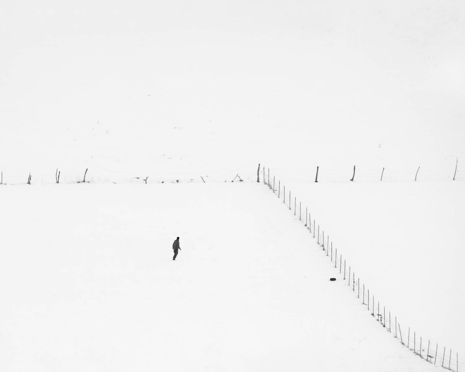 Фотография #13038081