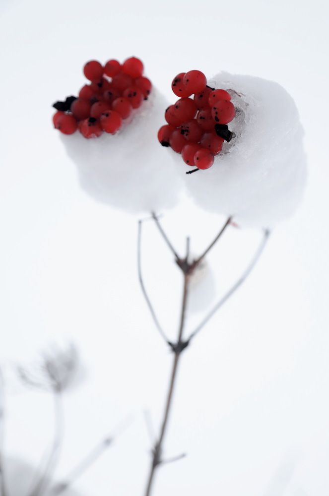 Photograph by Лада Денисова