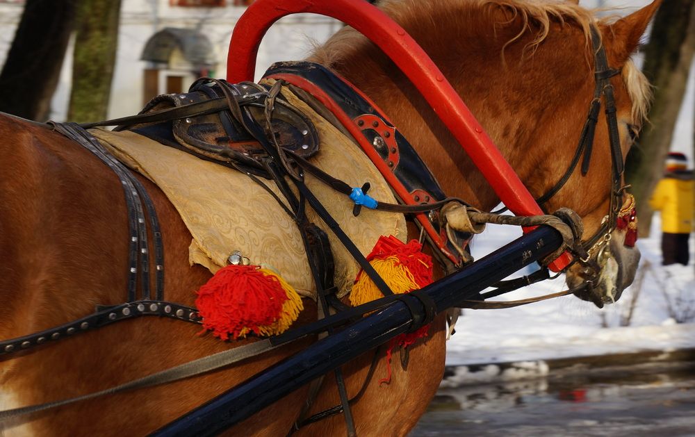 Photograph by Блюмина Елена