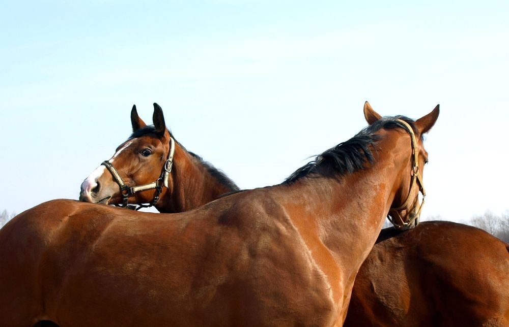 Photograph by Оксана Саранова