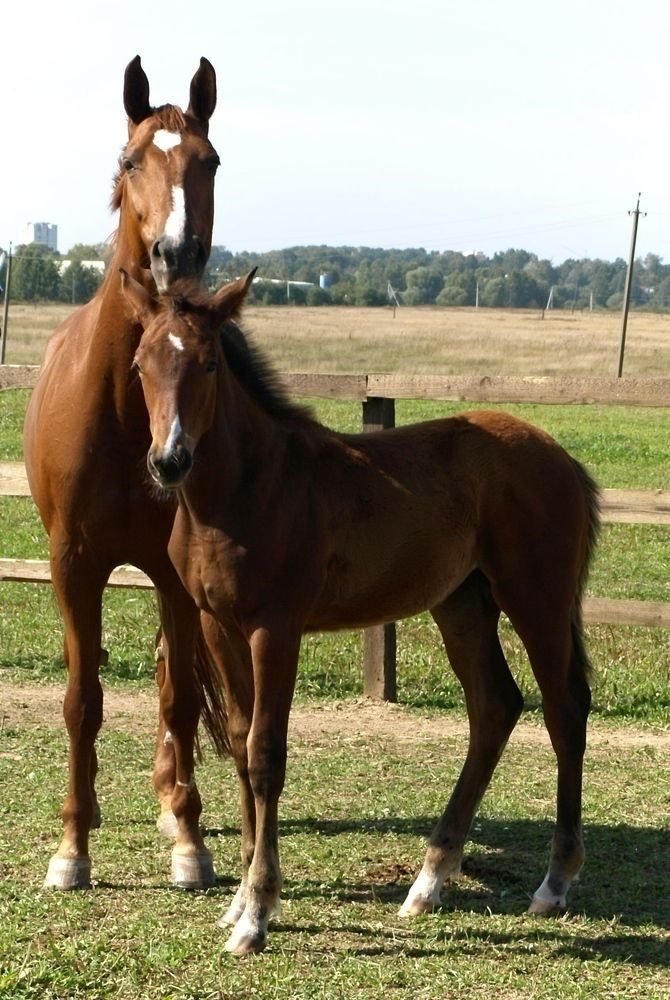 Photograph by Оксана Саранова