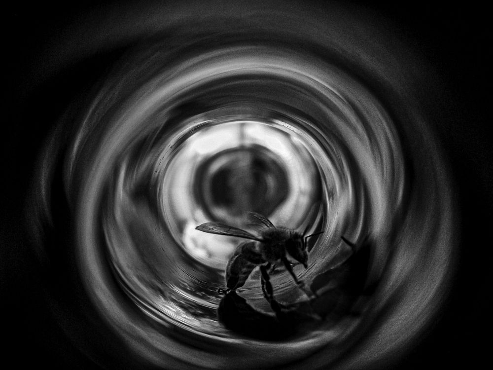 Photograph by Oleksandr Tkachenko Martogen