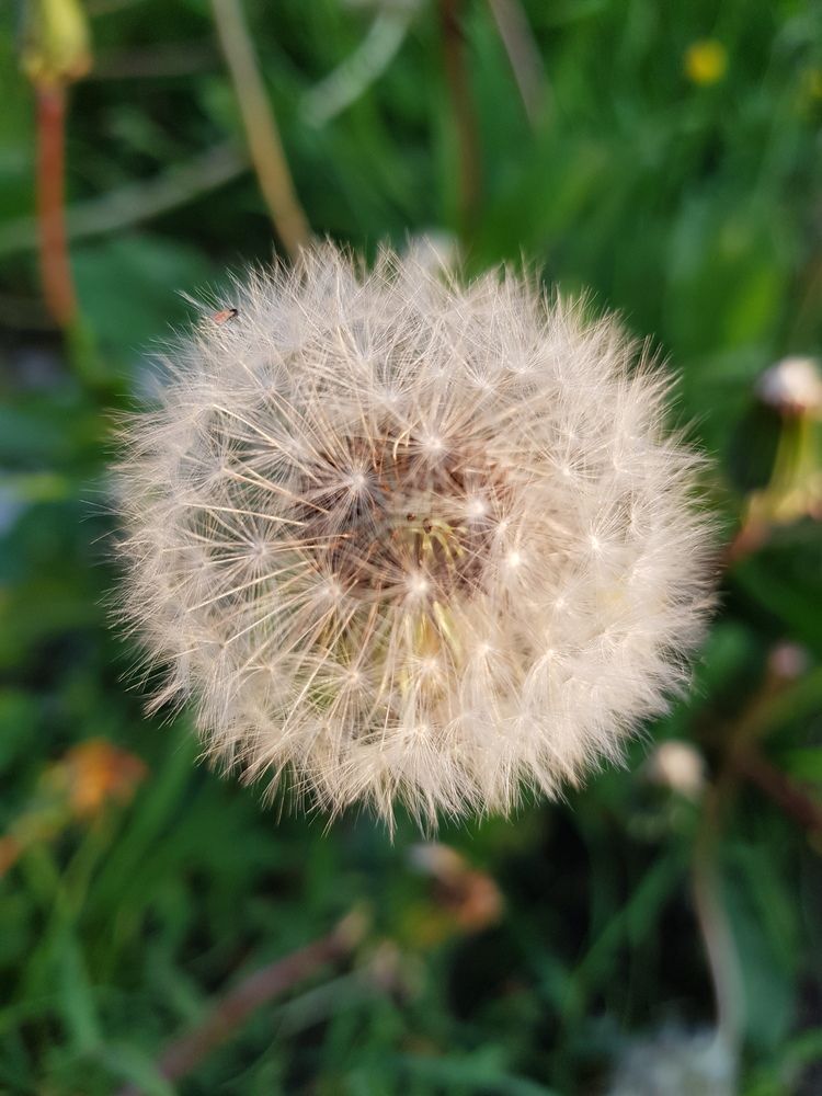 Photograph by Anzhelika