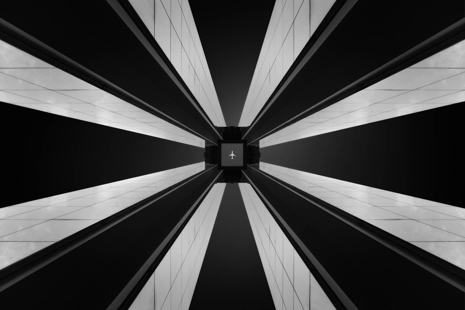 Фотография #13038446