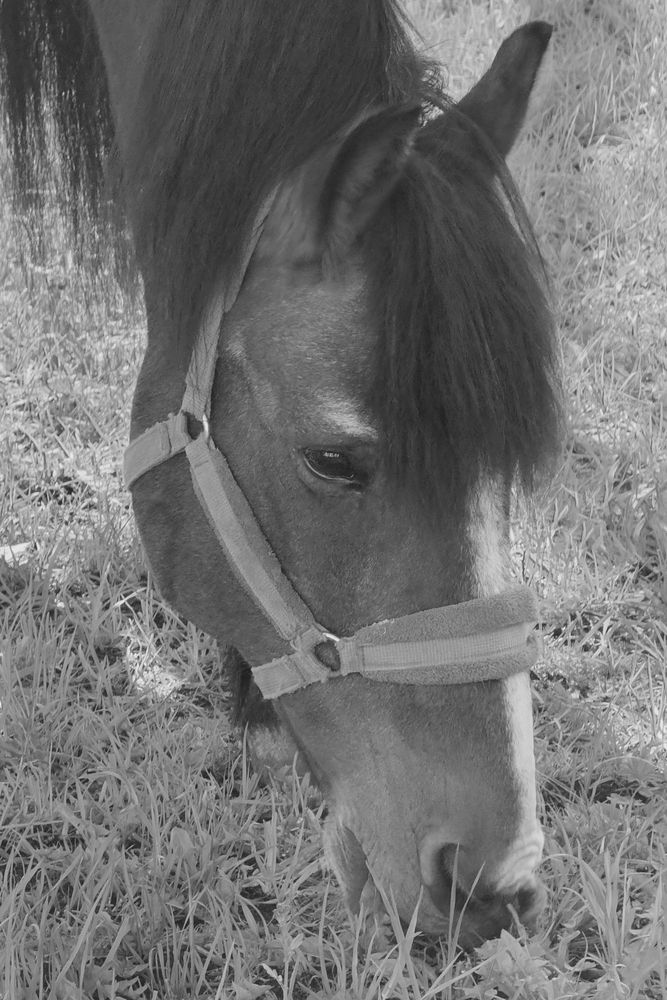 Photograph by Elena Savchuk