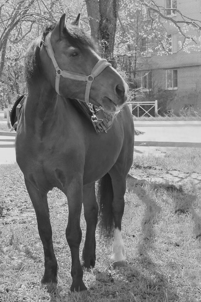 Photograph by Elena Savchuk