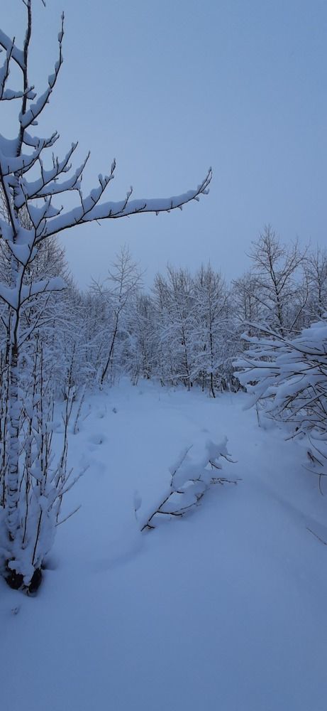 Photograph by Светлана Цапина