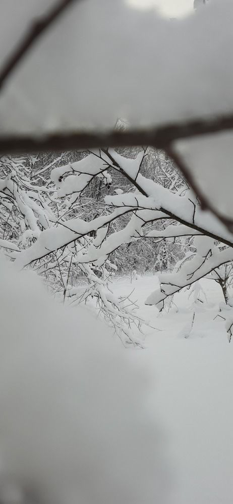 Photograph by Светлана Цапина