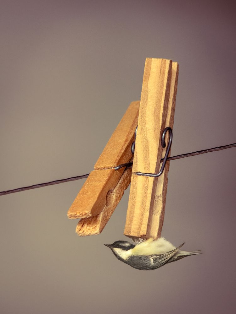 Photograph by Silvio José