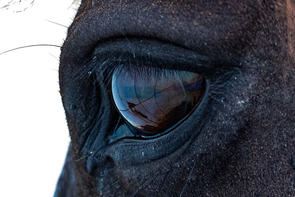 Photograph by Valmir Fernando da Silva