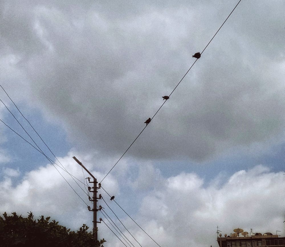 Photograph by Moamen Khaled