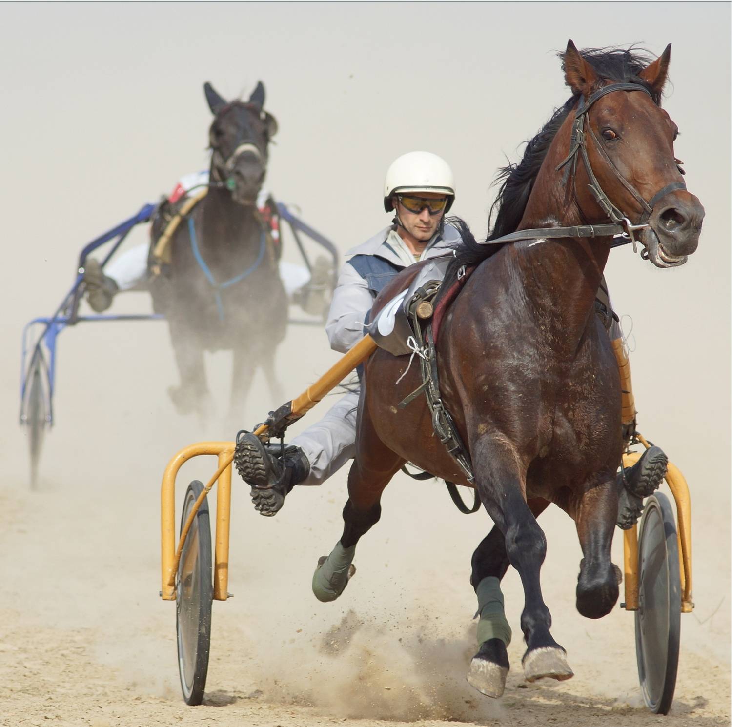 Фотография #13038618