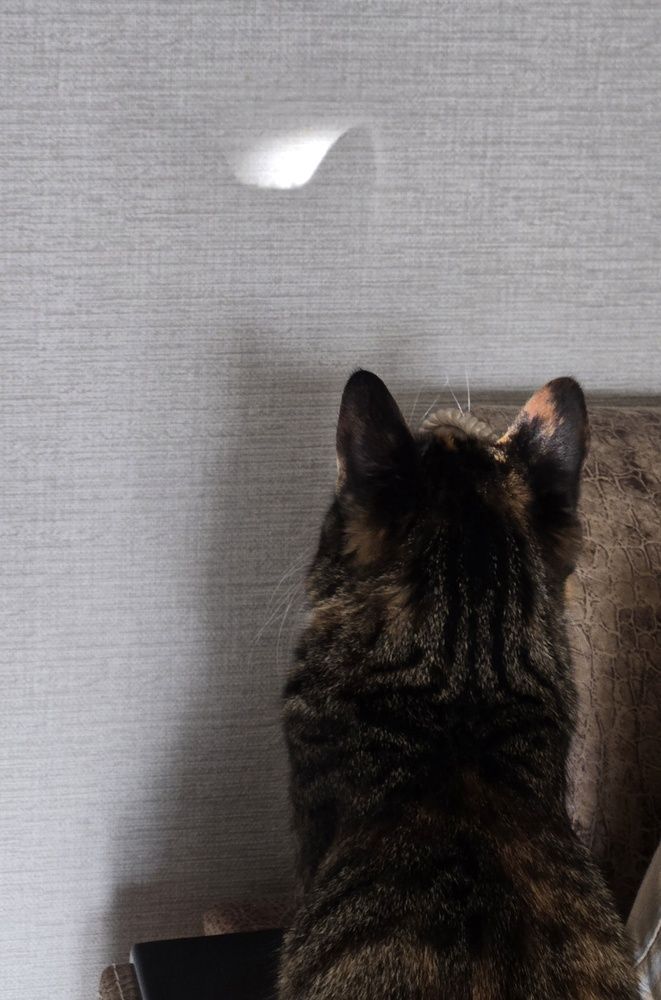 Photograph by Жанна Регор