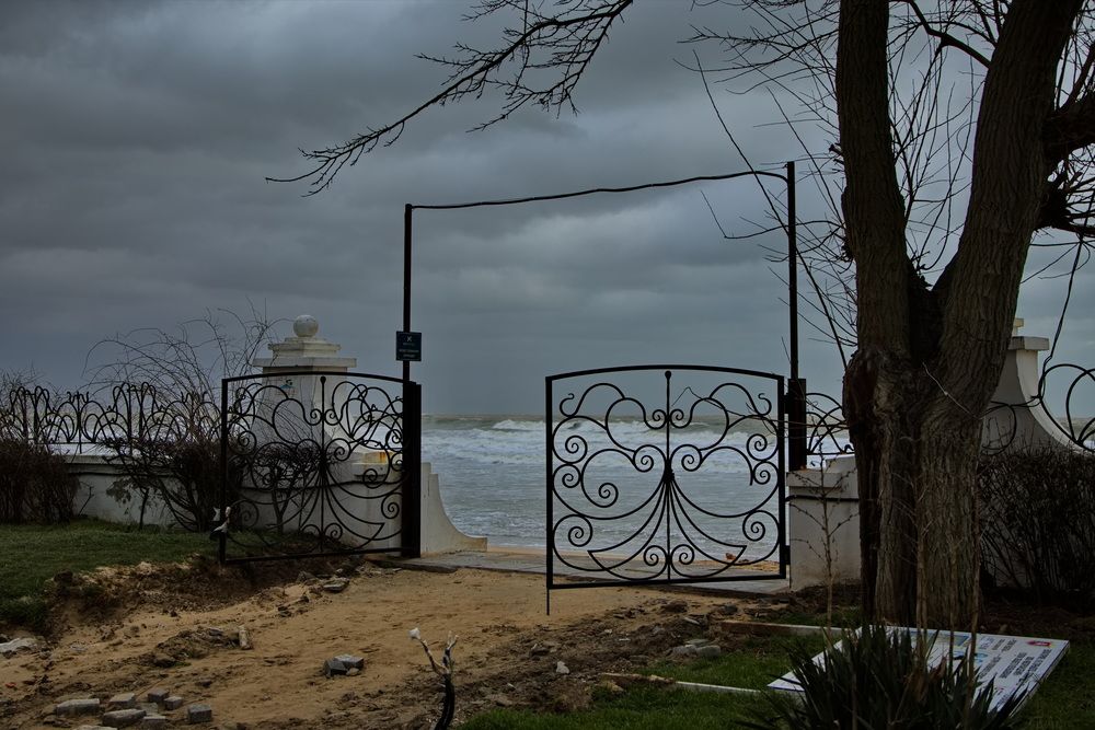 Photograph by Олег Раков