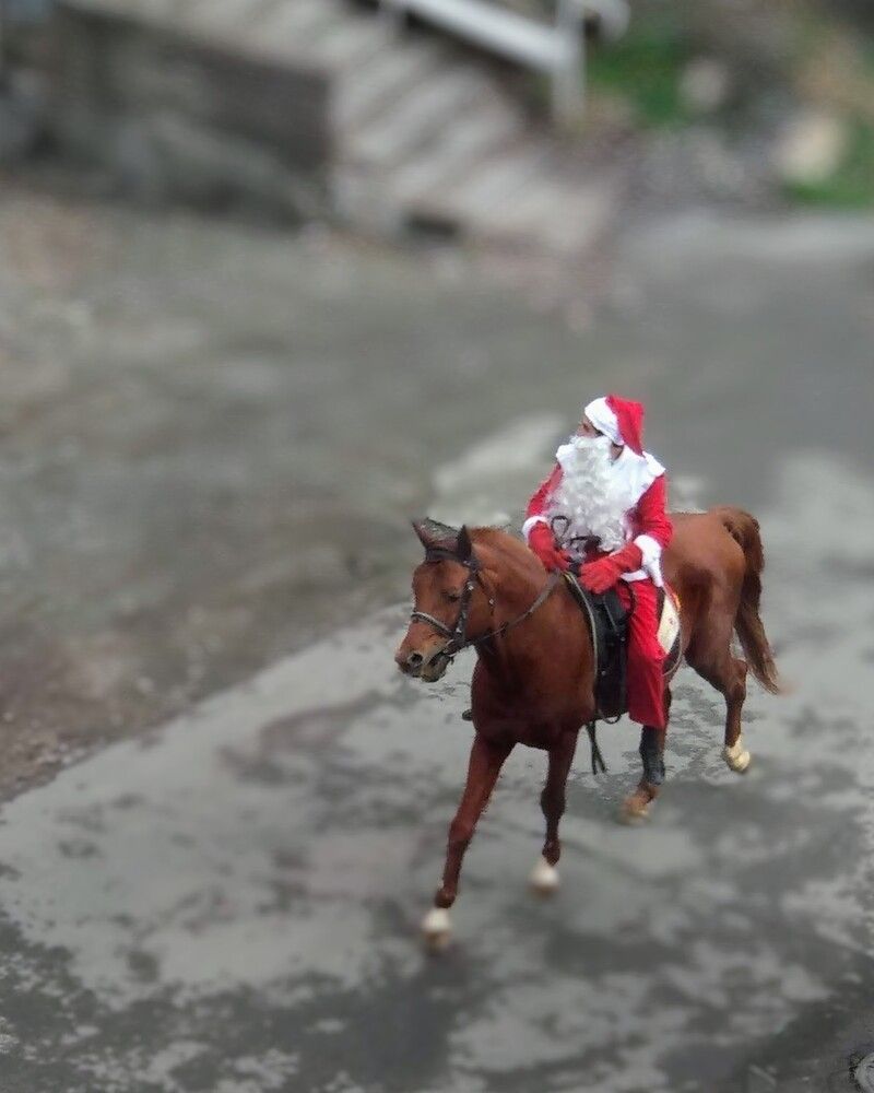 Фотография автора Lilit Petrosyan