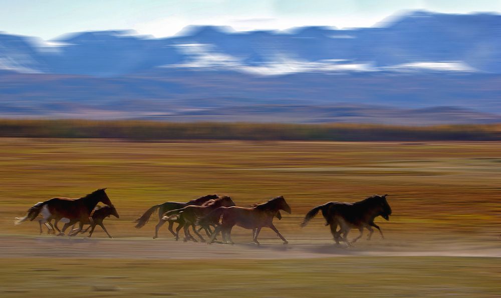 Фотография автора Чичкин Валерий