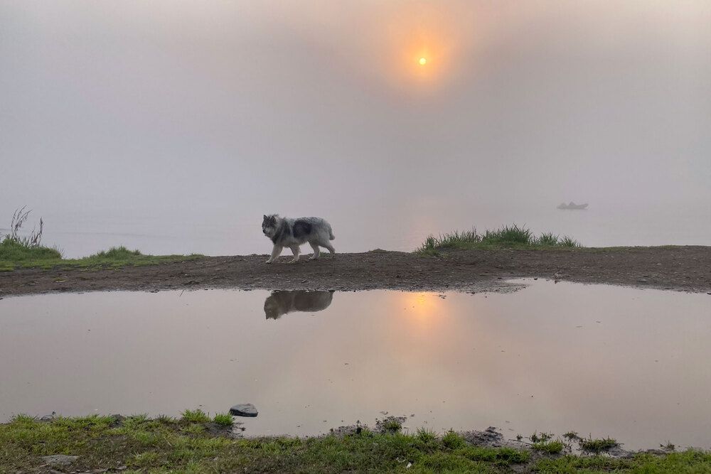 Photograph by Савчук Сергей