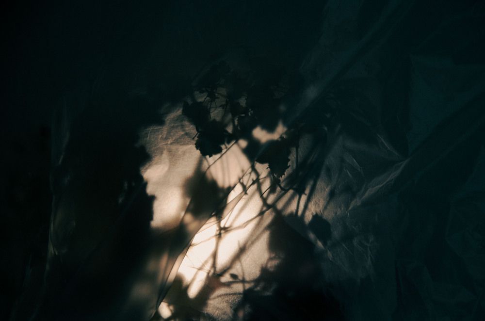 Photograph by Ульяна Бедрицкая