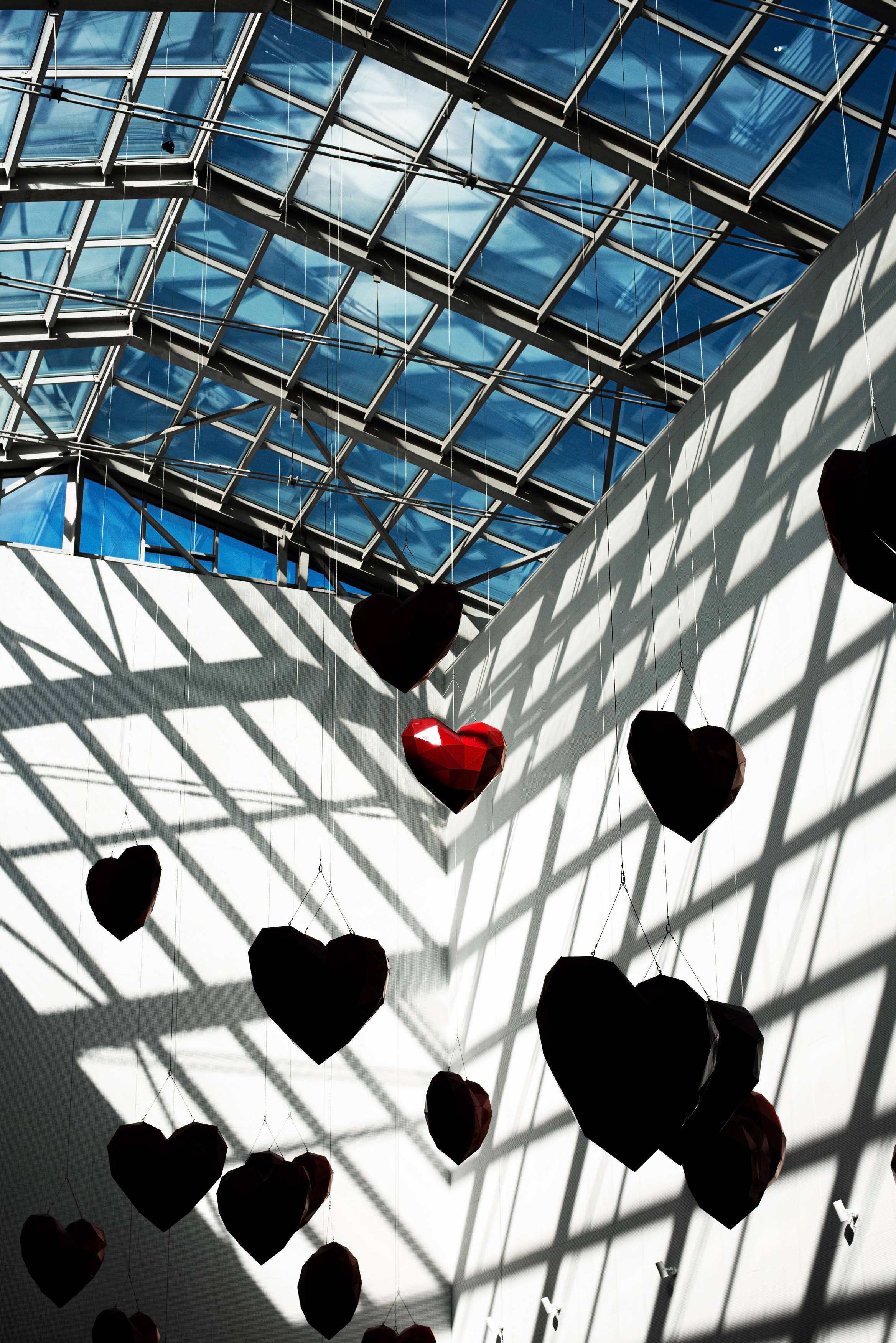 Фотография #13038779