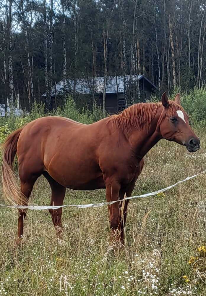 Фотография автора Мария