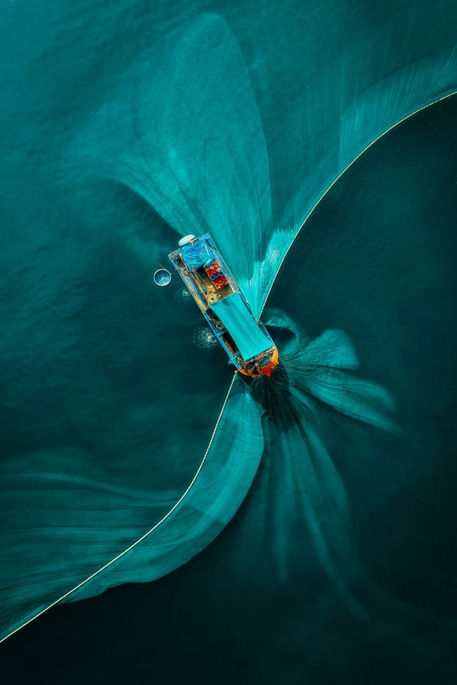 Photograph by Bao Nguyen