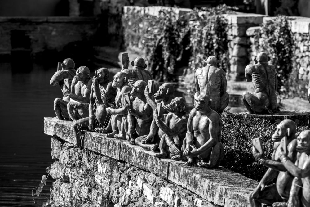 Photograph by Игорь Соколовский