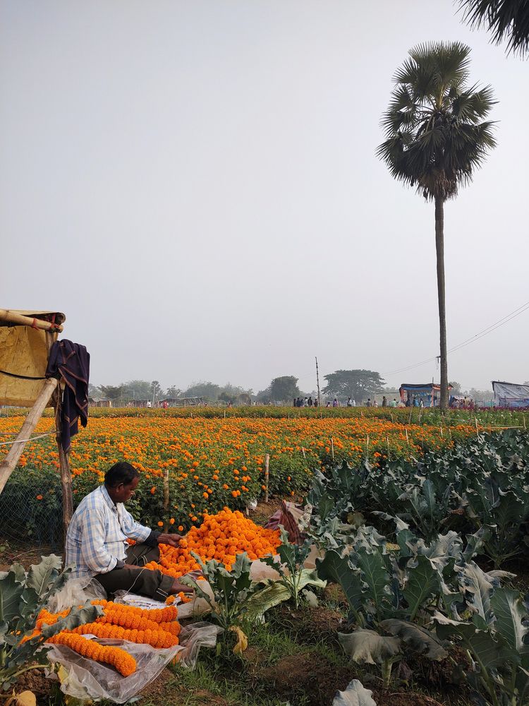 Photograph by Tuhina Samanta