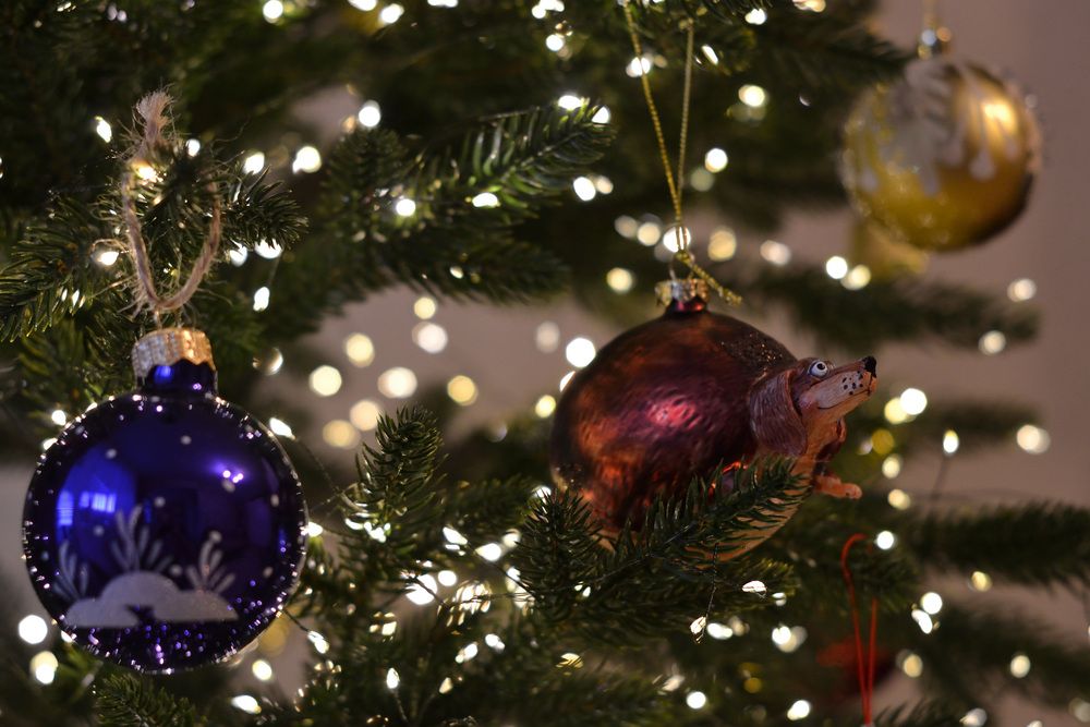 Photograph by Алексей