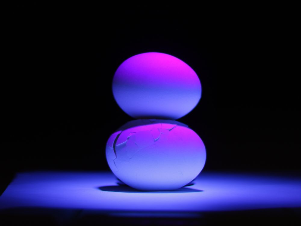 Photograph by Юлия Панова