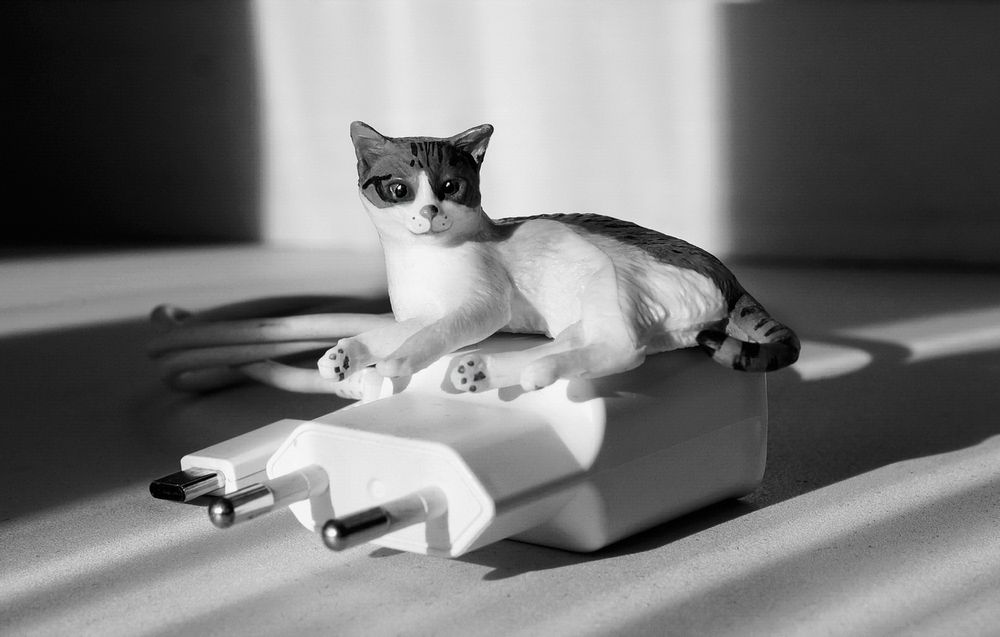 Фотография автора Е лена Е