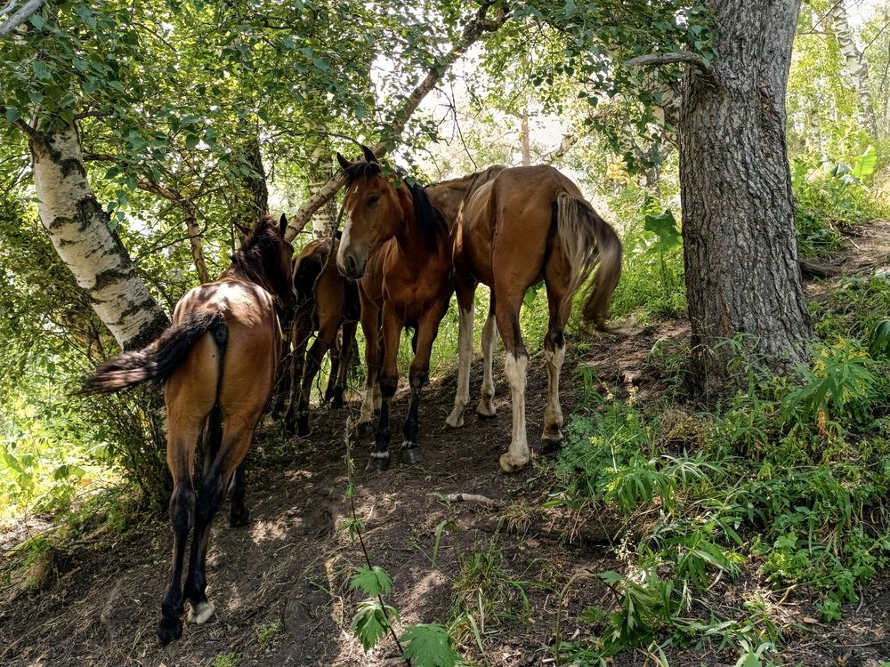 Фотография автора Владимир Ли