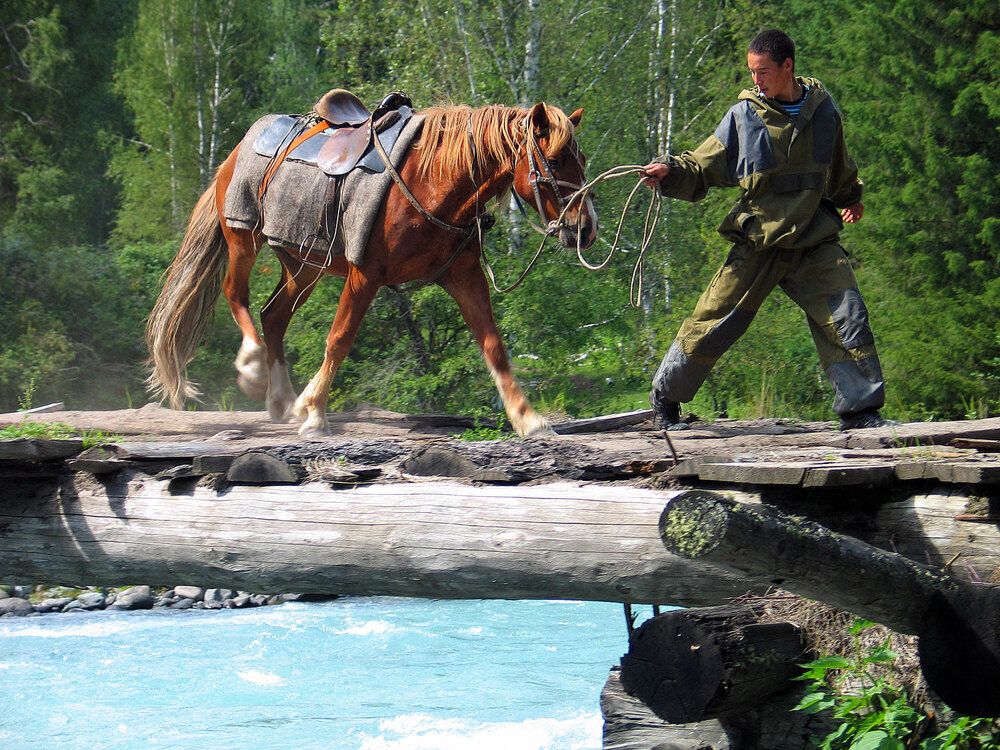 Photograph by Дмитрий Ткаченко